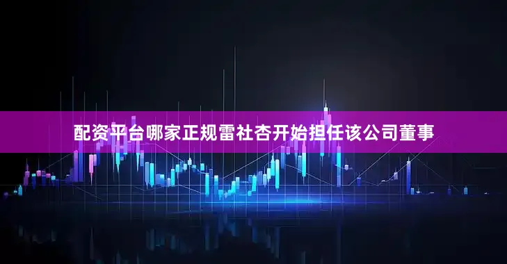 配资平台哪家正规雷社杏开始担任该公司董事
