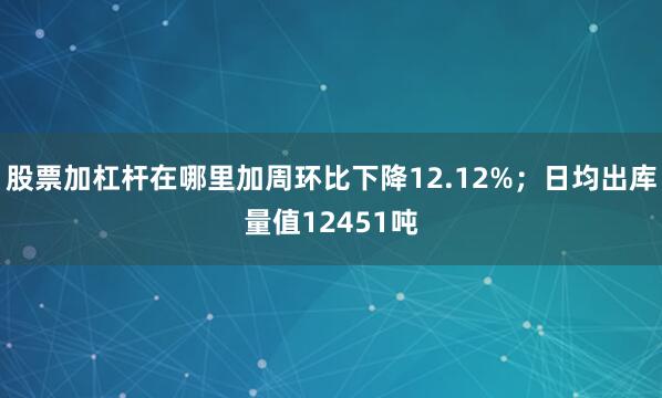 股票加杠杆在哪里加周环比下降12.12%；日均出库量值12451吨